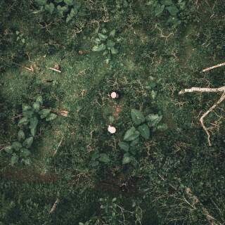 DJI_0857