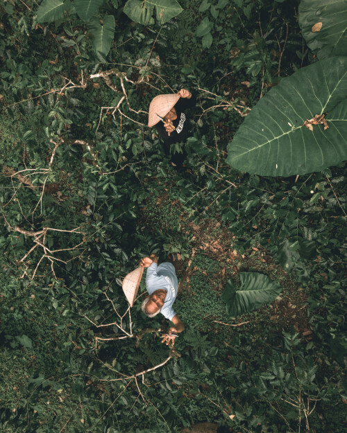 DJI_0861.jpeg
