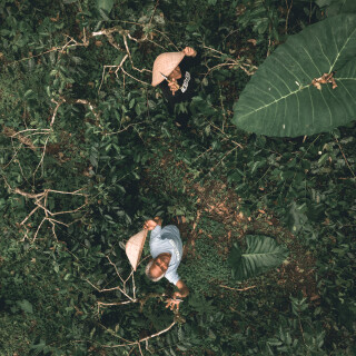 DJI_0861