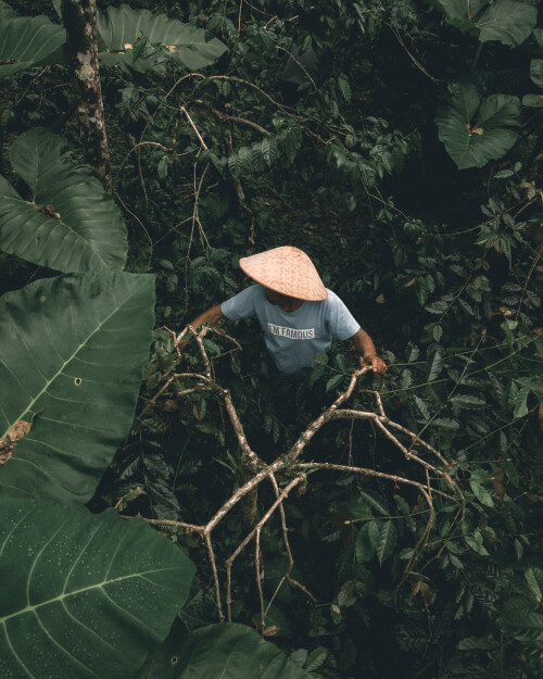 DJI_0869.jpeg