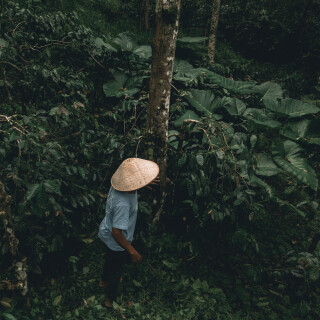 DJI_0877
