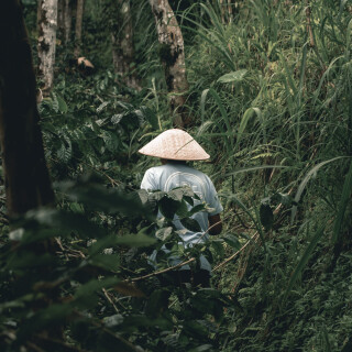 PPF00288