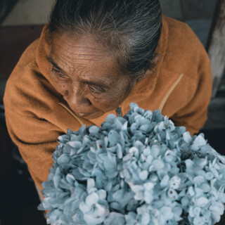 PPF00097