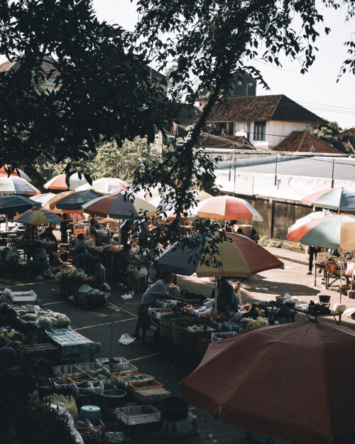 PPF00109_3.jpeg