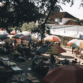 PPF00109_3
