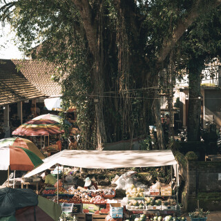 PPF00117_2