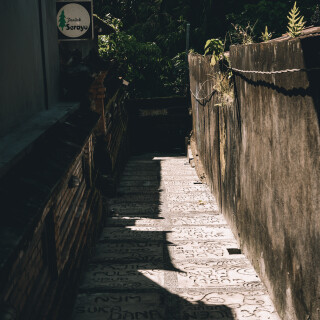 PPF00146