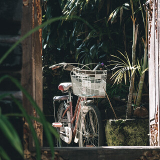 PPF00148_1