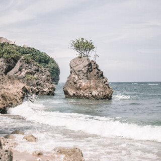 PPF00126_1