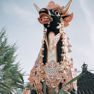 PPF00006_2
